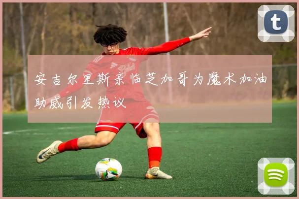 安吉尔里斯亲临芝加哥为魔术加油助威引发热议