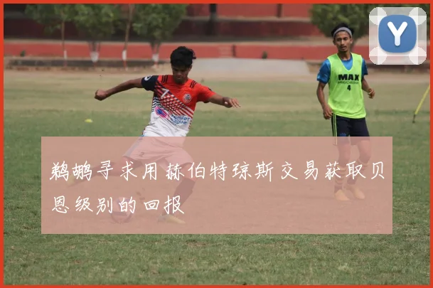 鹈鹕寻求用赫伯特琼斯交易获取贝恩级别的回报