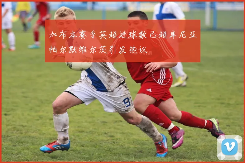 加布本赛季英超进球数已超库尼亚帕尔默维尔茨引发热议