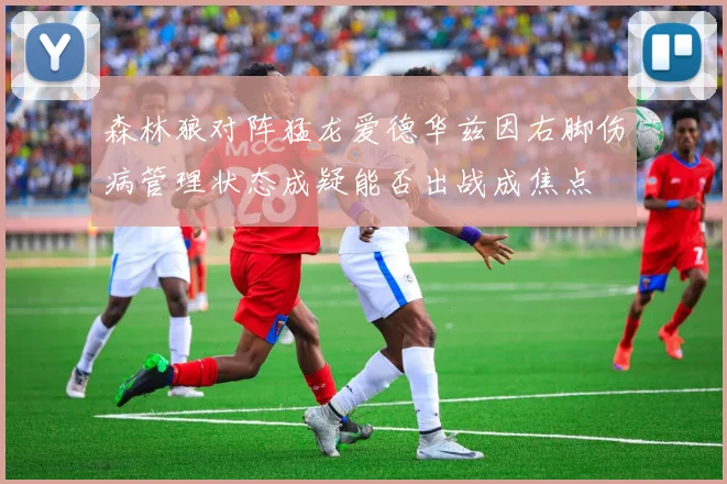 森林狼对阵猛龙爱德华兹因右脚伤病管理状态成疑能否出战成焦点