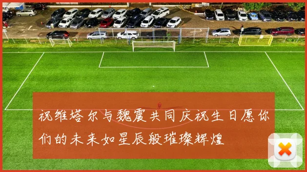 祝维塔尔与魏震共同庆祝生日愿你们的未来如星辰般璀璨辉煌
