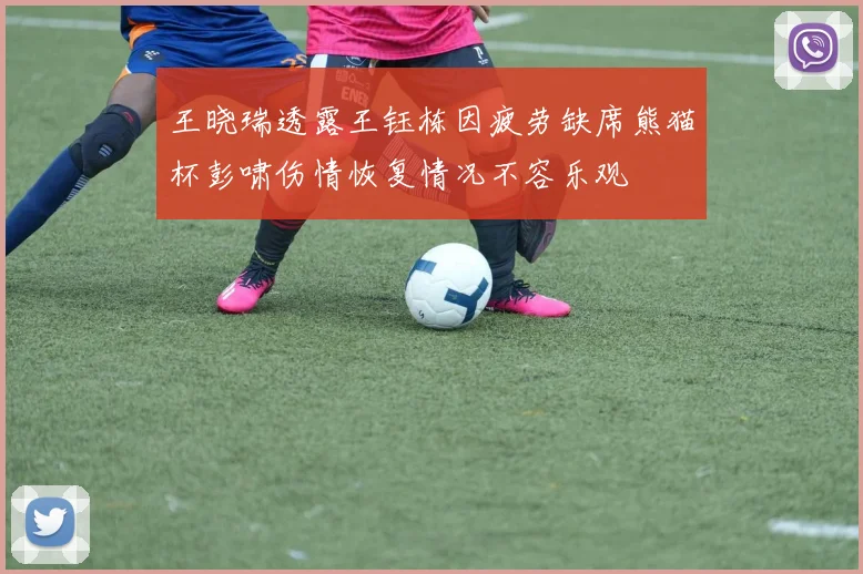 王晓瑞透露王钰栋因疲劳缺席熊猫杯彭啸伤情恢复情况不容乐观