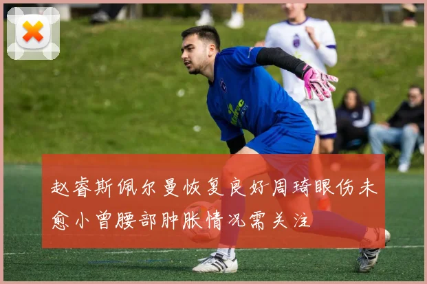 赵睿斯佩尔曼恢复良好周琦眼伤未愈小曾腰部肿胀情况需关注