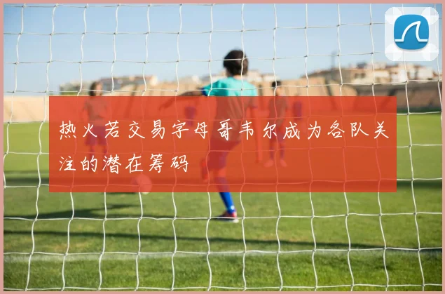 热火若交易字母哥韦尔成为各队关注的潜在筹码